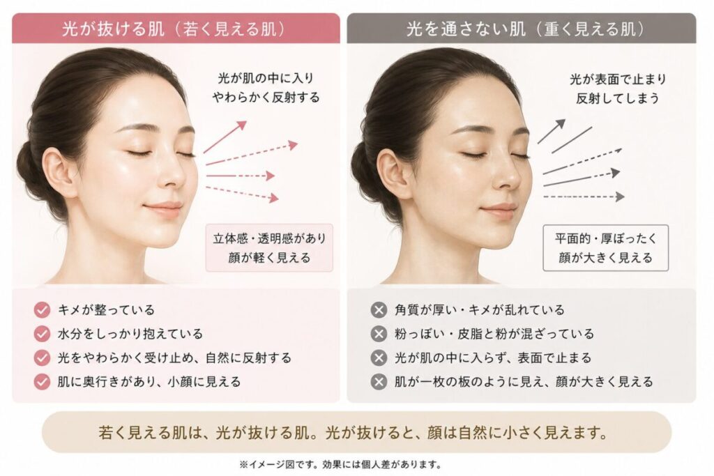 光が抜ける肌と光を通さない肌の比較画像